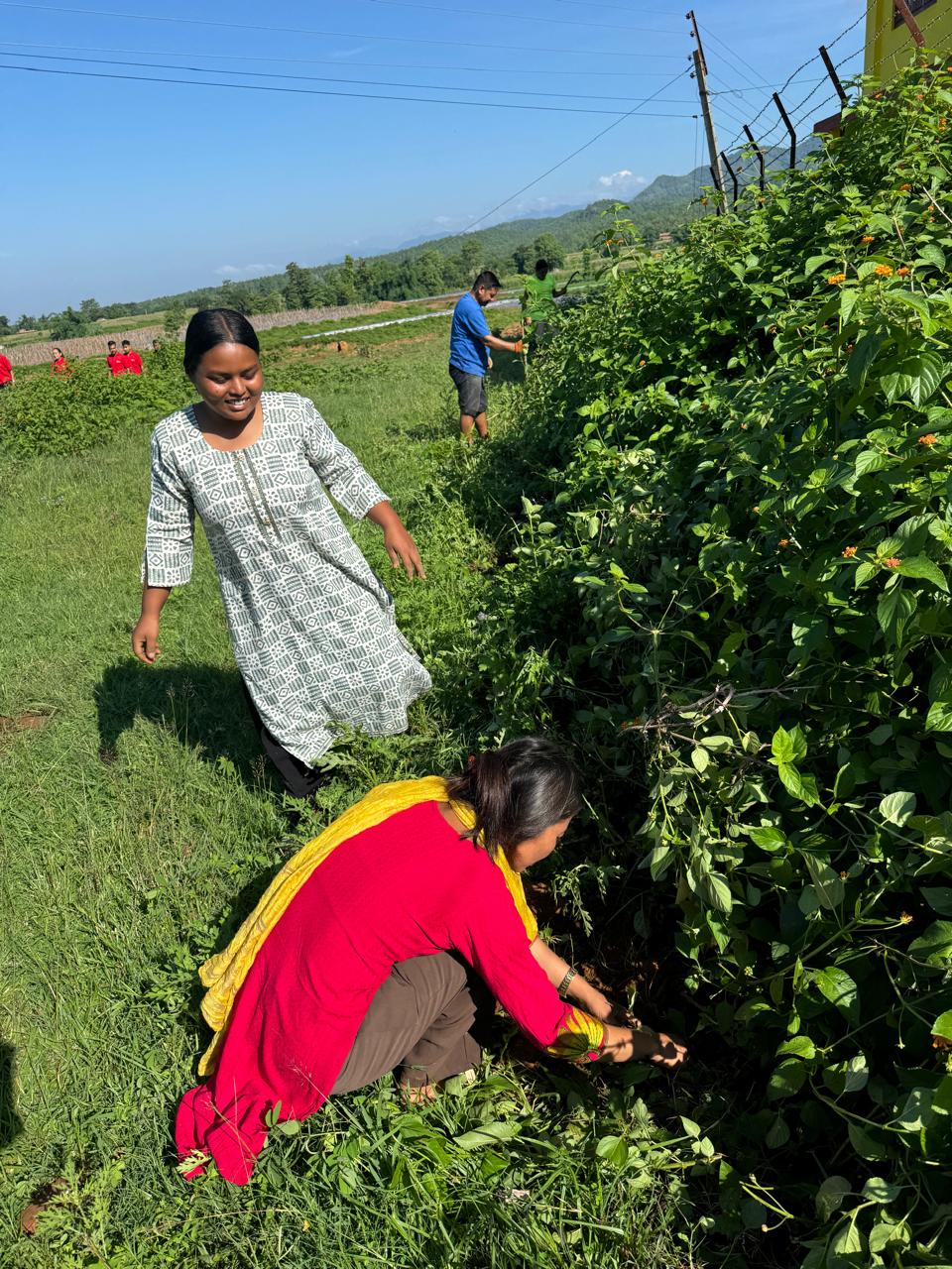 Tree Plantation Program at Shree Madhyamik Vidyalaya Ratanpur Hapur