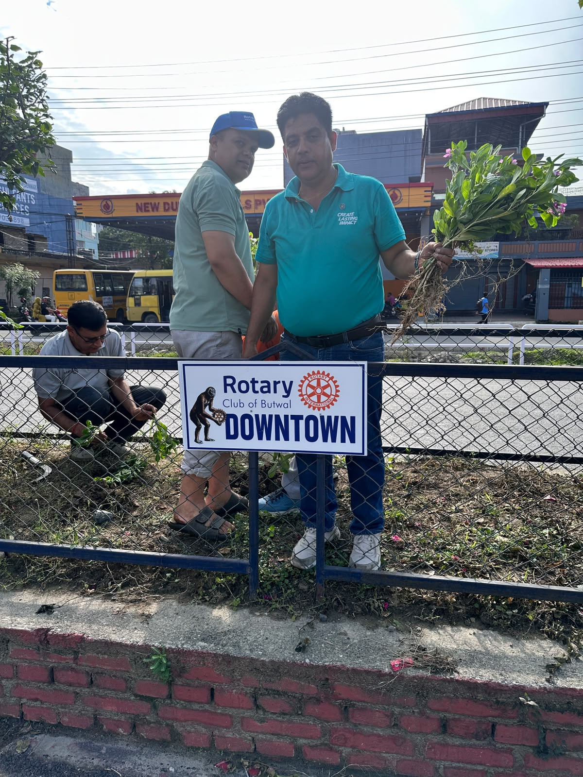 Tree plantation (Supporting  District 100000 tree plantation Campaign) Day 1