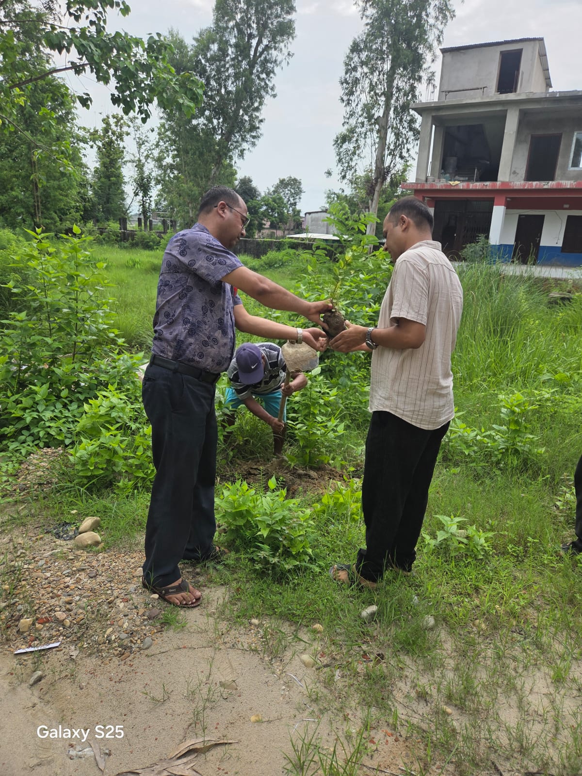 Green Campaign At Bageshwari Bahumukhi Campus, Artificial Limb Support to Female Student
