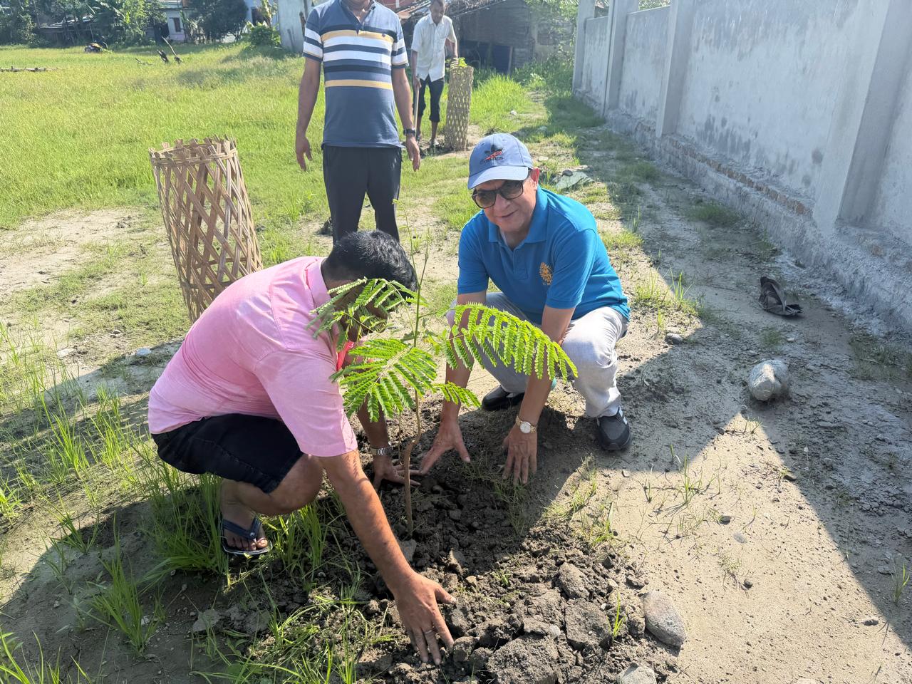 Tree Plantation Program