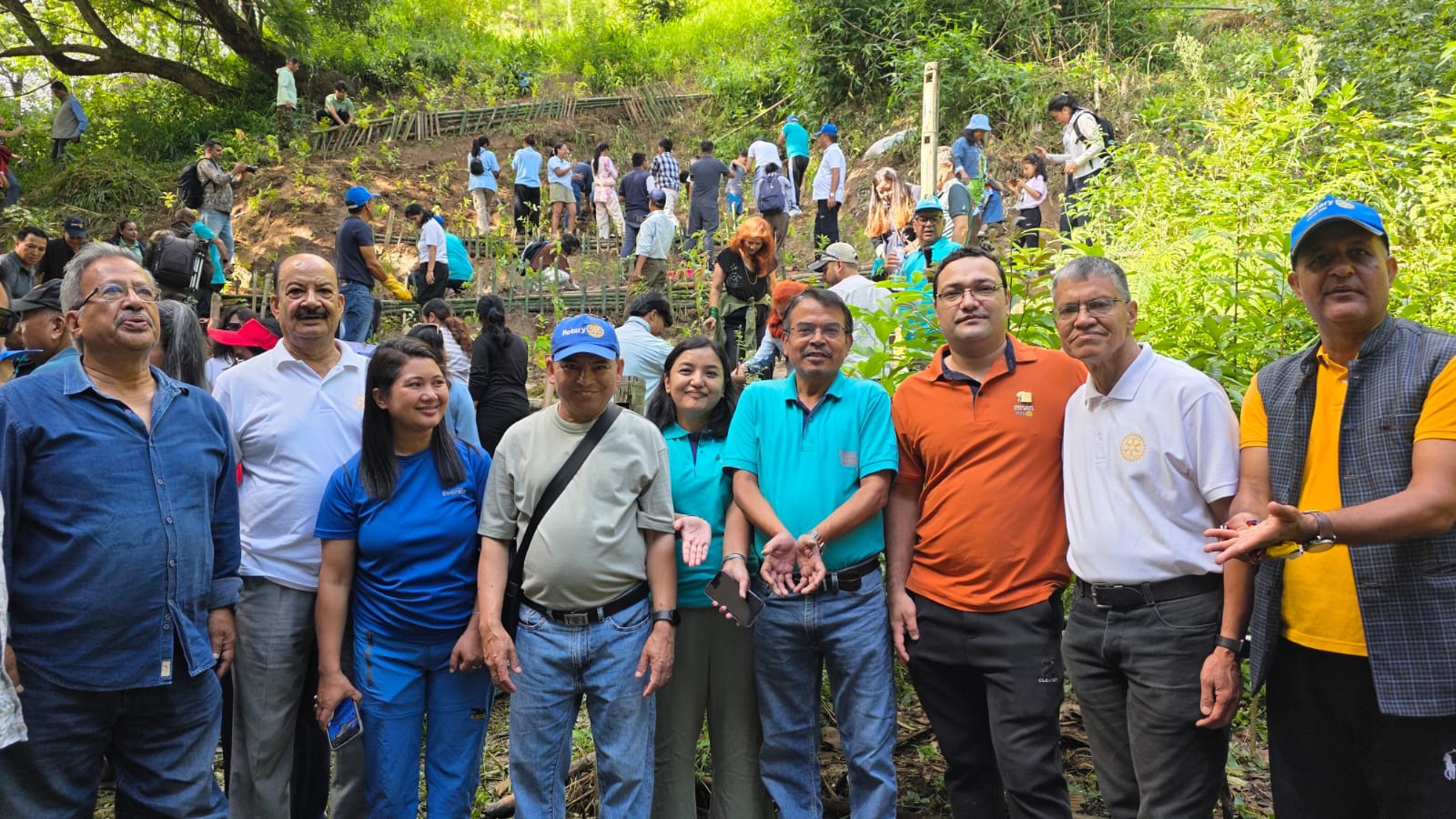 Joint Tree Plantation - Chapter 1